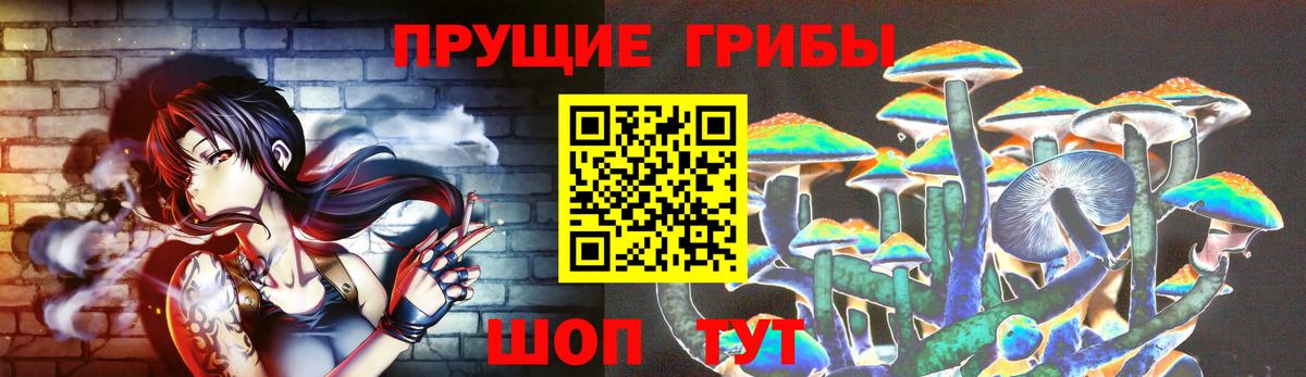 Галлюциногенные грибы Cubensis Аксай