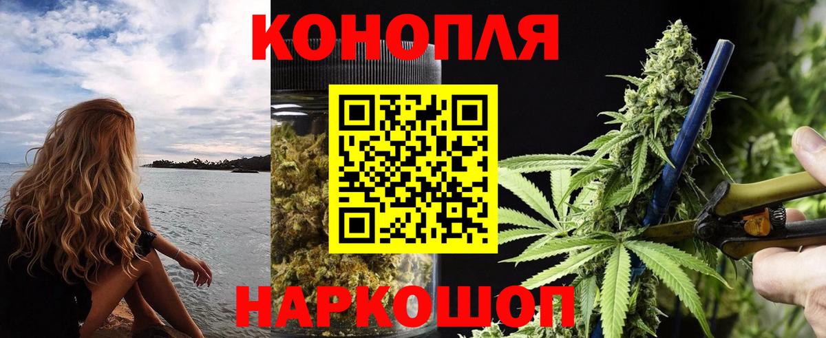 Конопля OG Kush  Вход с VPN  Аксай  Шишки марихуана VHQ 